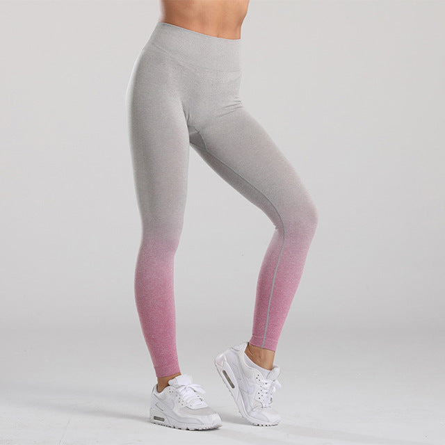 Yoga Seamless Pants Sports Clothes