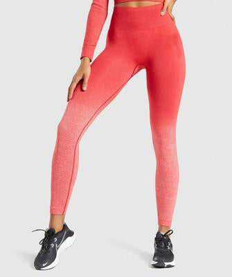 Yoga Seamless Pants Sports Clothes