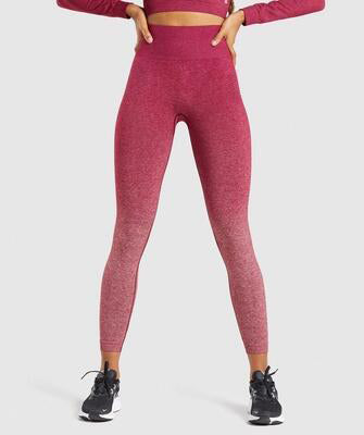 Yoga Seamless Pants Sports Clothes